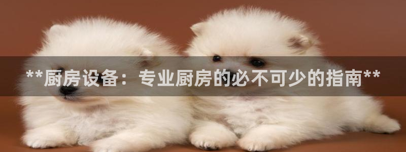 下载尊龙app：**厨房