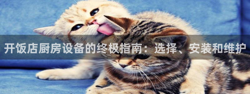 尊龙凯时取款不成功：开饭店厨房设备的终极指南：选择、安装和维