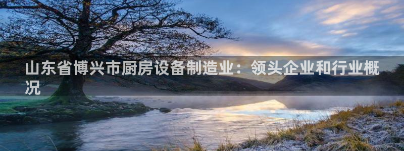 凯时kb88官方：山东省博兴市厨房设备制造业：领头企业和行业