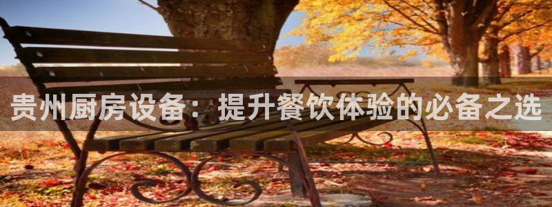 尊龙贴吧：贵州厨房设备：提升餐饮体验的必备之选
