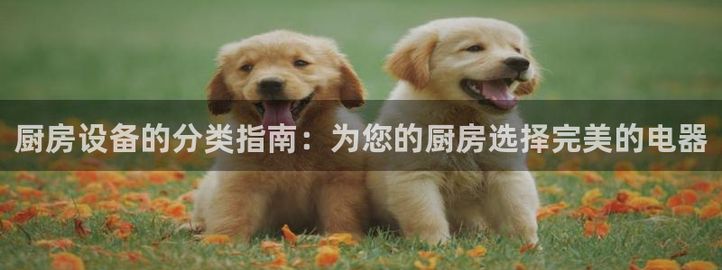 尊龙凯时 - 人生就是搏