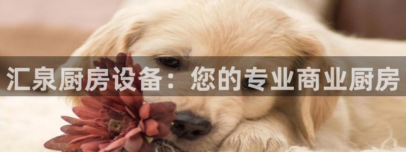 百度一下尊龙：汇泉厨房设备：您的专业商业厨房