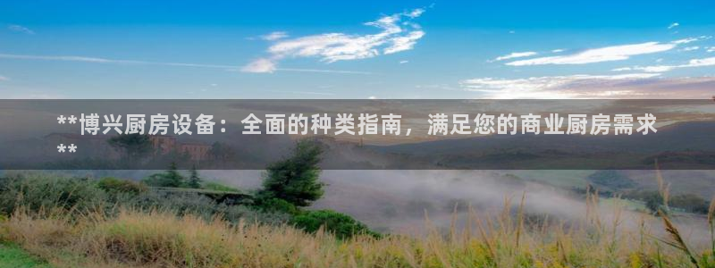 尊龙凯时不给提款：**博兴厨房设备：全面的种类指南，满足您的