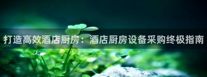 凯时国际app登录：打造高效酒店厨房：酒店厨房设备采购终极指