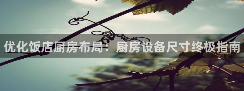 尊龙凯时只输不赢：优化饭