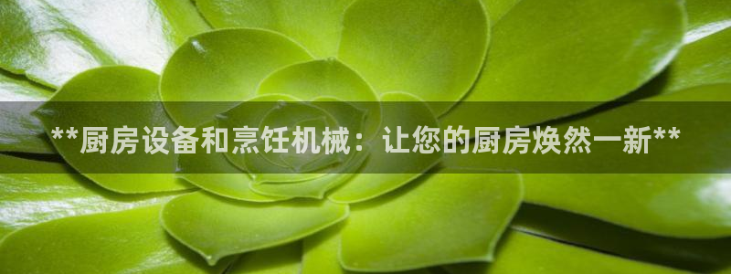 凯时官网手机版首页：**
