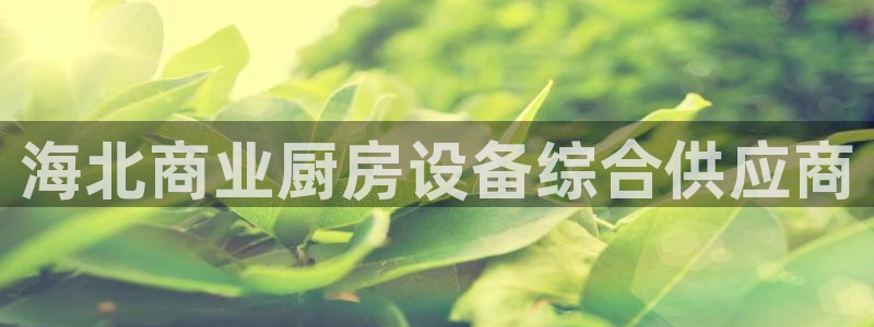 尊龙d88手机版下载：海北商业厨房设备综合供应商