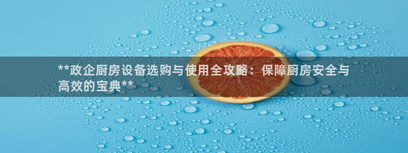 尊龙凯时怎么样没听说过：**政企厨房设备选购与使用全攻略：保