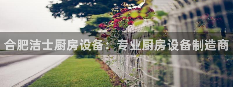 尊龙凯时代理：合肥洁士厨