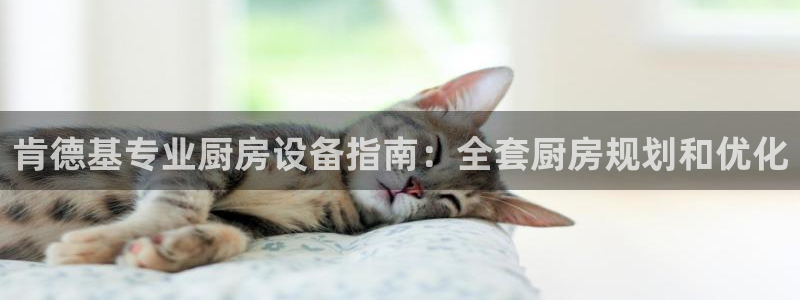 尊龙官网手机版：肯德基专