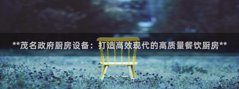 尊龙官网下载：**茂名政府厨房设备：打造高效现代的高质量餐饮