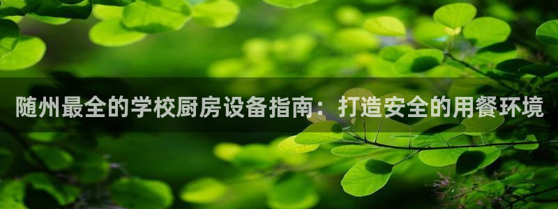 尊龙凯时邀请码：随州最全的学校厨房设备指南：打造安全的用餐环