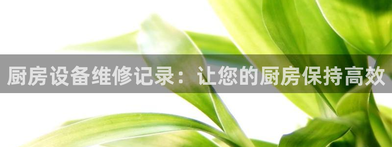 尊龙人生就是博旧版现：厨