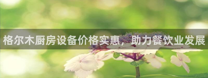 尊龙凯时的企业文化