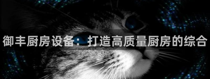 尊龙用现金娱乐一下下载旧