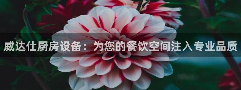尊龙集团官网：威达仕厨房