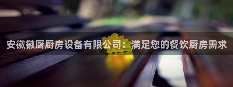 凯时平台登录：安徽徽厨厨房设备有限公司：