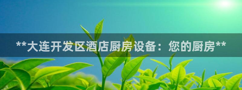 尊龙凯时平台入口：**大连开发区酒店厨房设备：您的厨房**