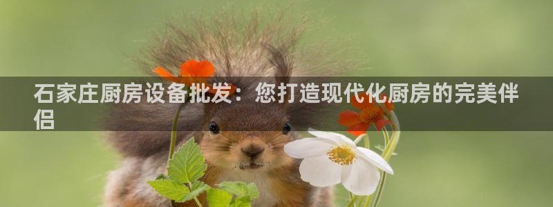 尊龙凯时怎么注销账号：石