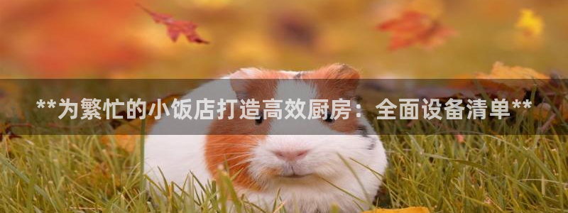 尊龙客服：**为繁忙的小饭店打造高效厨房：全面设备清单**