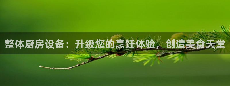尊龙游戏中心：整体厨房设备：升级您的烹饪体验，创造美食天堂
