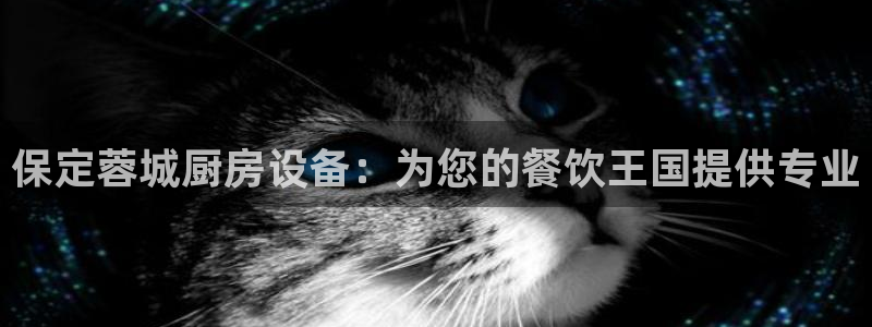 尊龙新版app首页：保定蓉城厨房设备：为您的餐饮王国提供专业