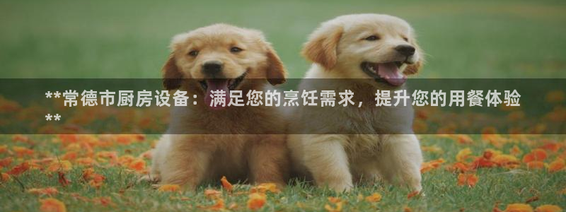 尊龙一人生就是博尊：**