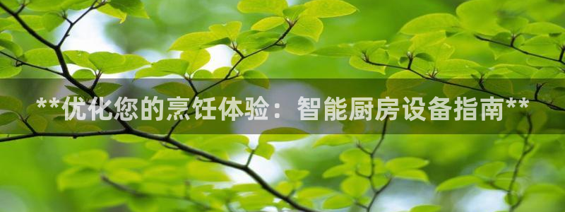 尊龙人生就是博一下阿扎尔：**优化您的烹饪体验：智能厨房设备
