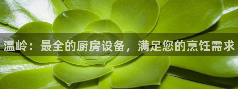 尊龙凯时处理未到账：温岭