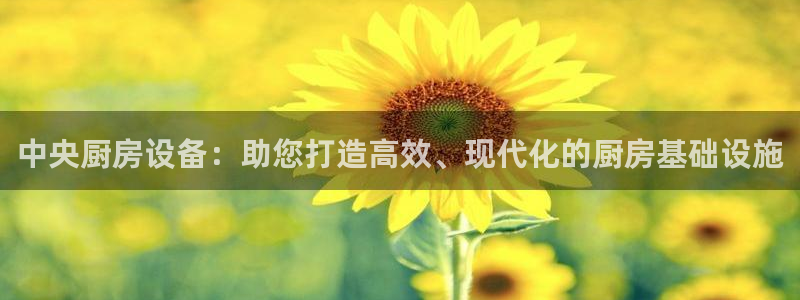 尊龙凯时的企业文化：中央厨房设备：助您打造高效、现代化的厨房