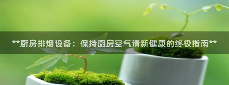 z6com尊龙：**厨房排烟设备：保持厨房空气清新健康的终极