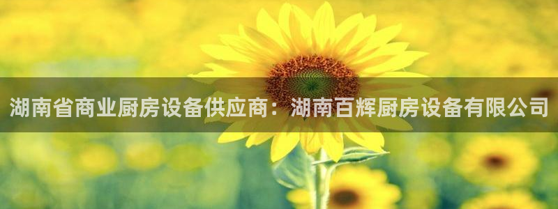 尊龙 中国：湖南省商业厨房设备供应商：湖南百辉厨房设备有限公