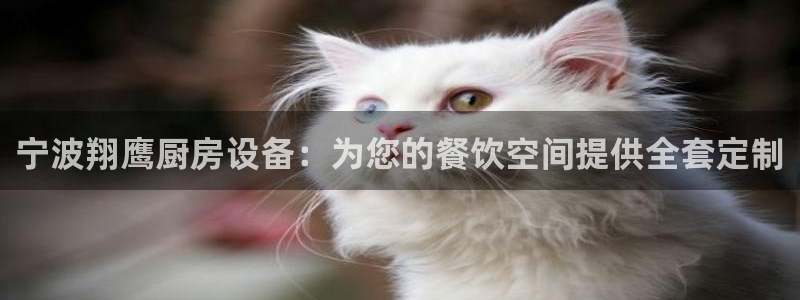 尊龙凯时登陆网址：宁波翔