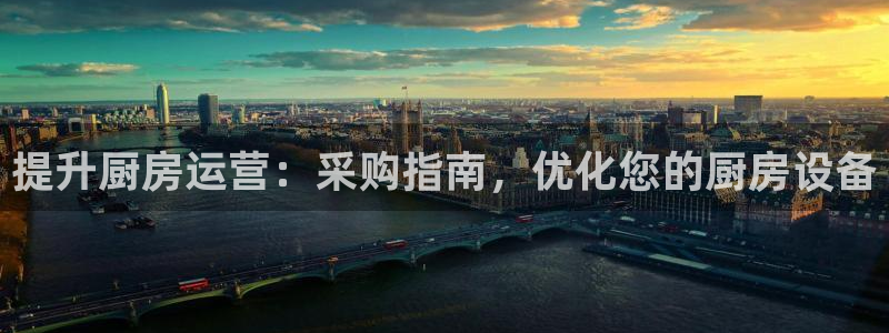 尊龙旗舰店：提升厨房运营：采购指南，优化