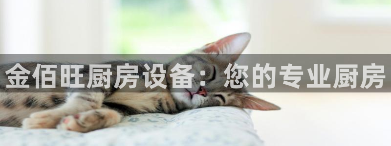 z6尊龙凯时旗舰厅：金佰旺厨房设备：您的专业厨房