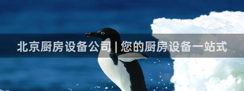 尊龙凯时只输不赢