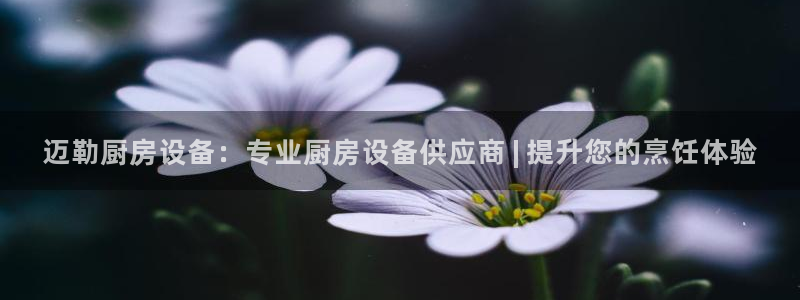 尊龙凯时存款不上分：迈勒厨房设备：专业厨房设备供应商 | 提