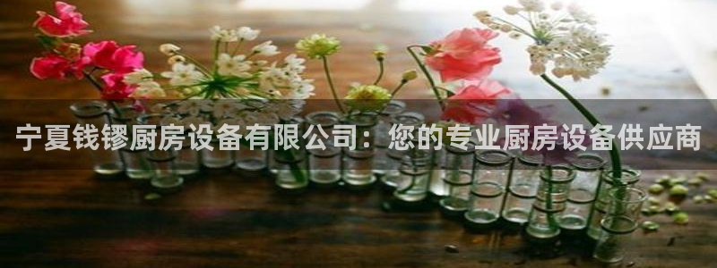 尊龙官网免费下载安装：宁夏钱镠厨房设备有