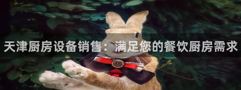 凯时国际平台有人赢吗：天津厨房设备销售：满足您的餐饮厨房需求