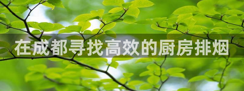 凯时k8官网首页：在成都寻找高效的厨房排烟