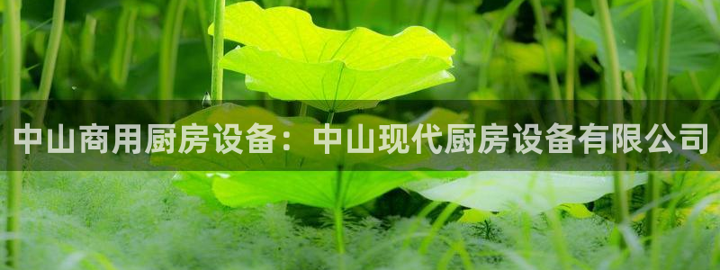 尊龙网站 人生就是博：中山商用厨房设备：中山现代厨房设备有限