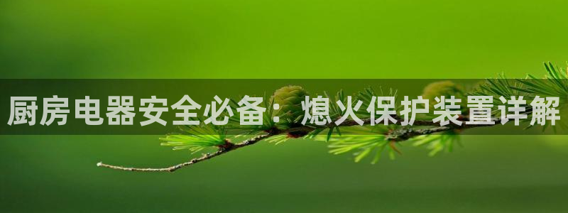 尊龙凯时人生就是搏官方网站：厨房电器安全必备：熄火保护装置详