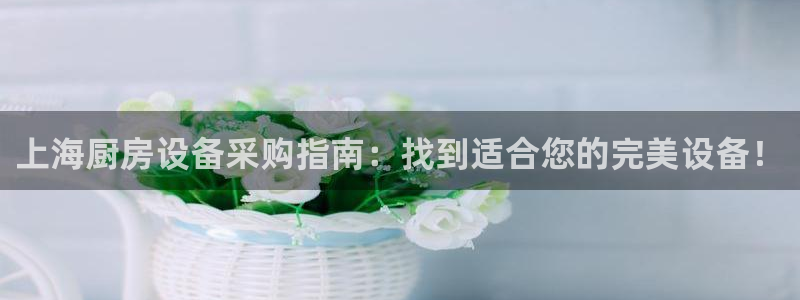 尊龙—人生就是博：上海厨房设备采购指南：找到适合您的完美设备