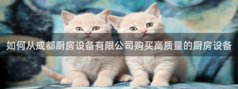 尊龙1003尊龙 - 百度：如何从成都厨房设备有限公司购买高