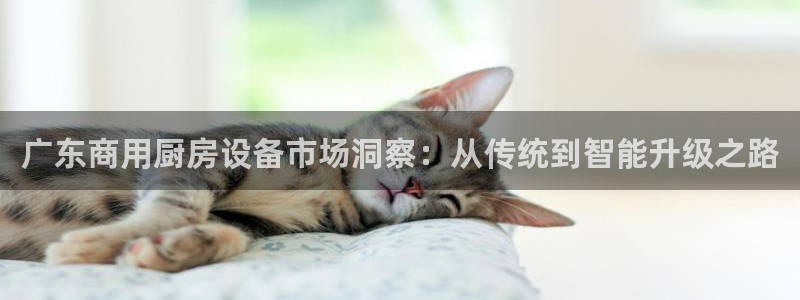 z6尊龙凯时旗舰厅