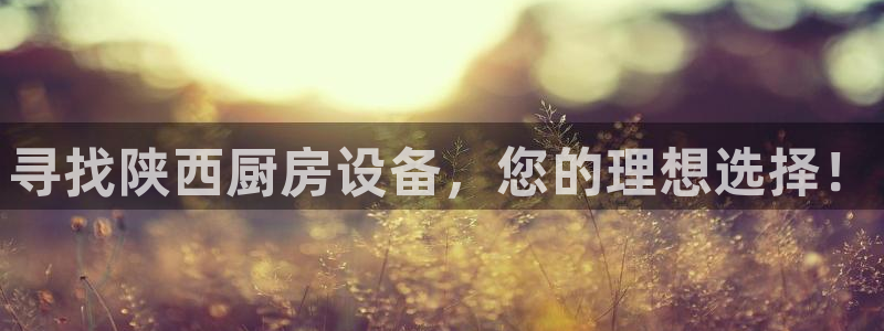 Z6尊龙凯时官方：寻找陕西厨房设备，您的理想选择！