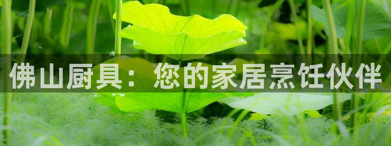 凯时app官网首页