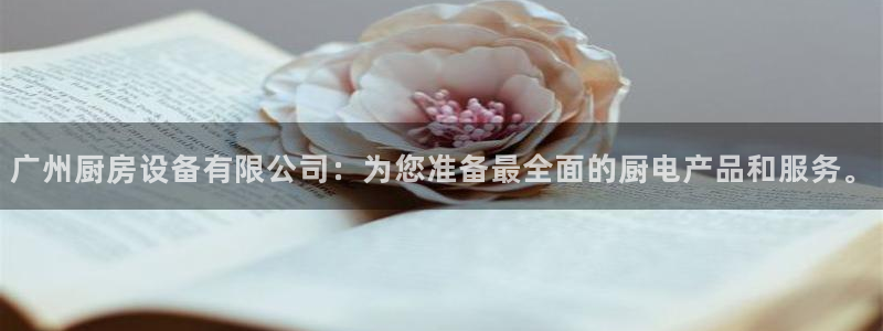 尊龙凯时处理未到账