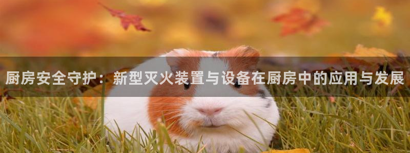 凯时尊龙平台登录