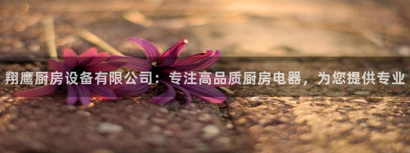 尊龙凯时z6官网
